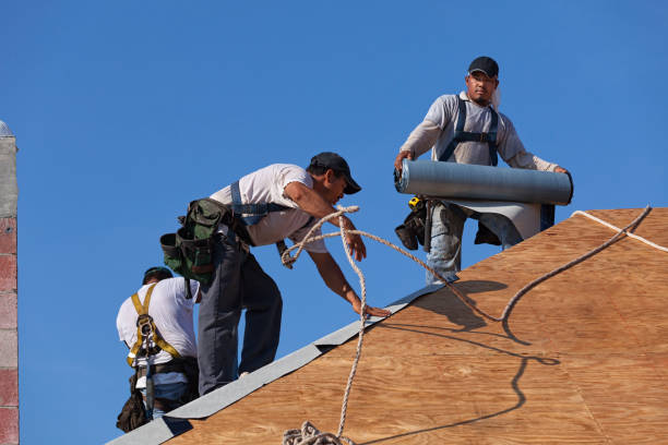 Best Roof Repair Services  in Welsh, LA